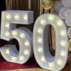 Light Up Numbers and Letters