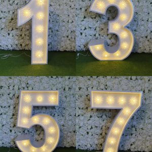 Kids Light Up Numbers